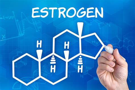 Как повышенный эстроген влияет на вес?
